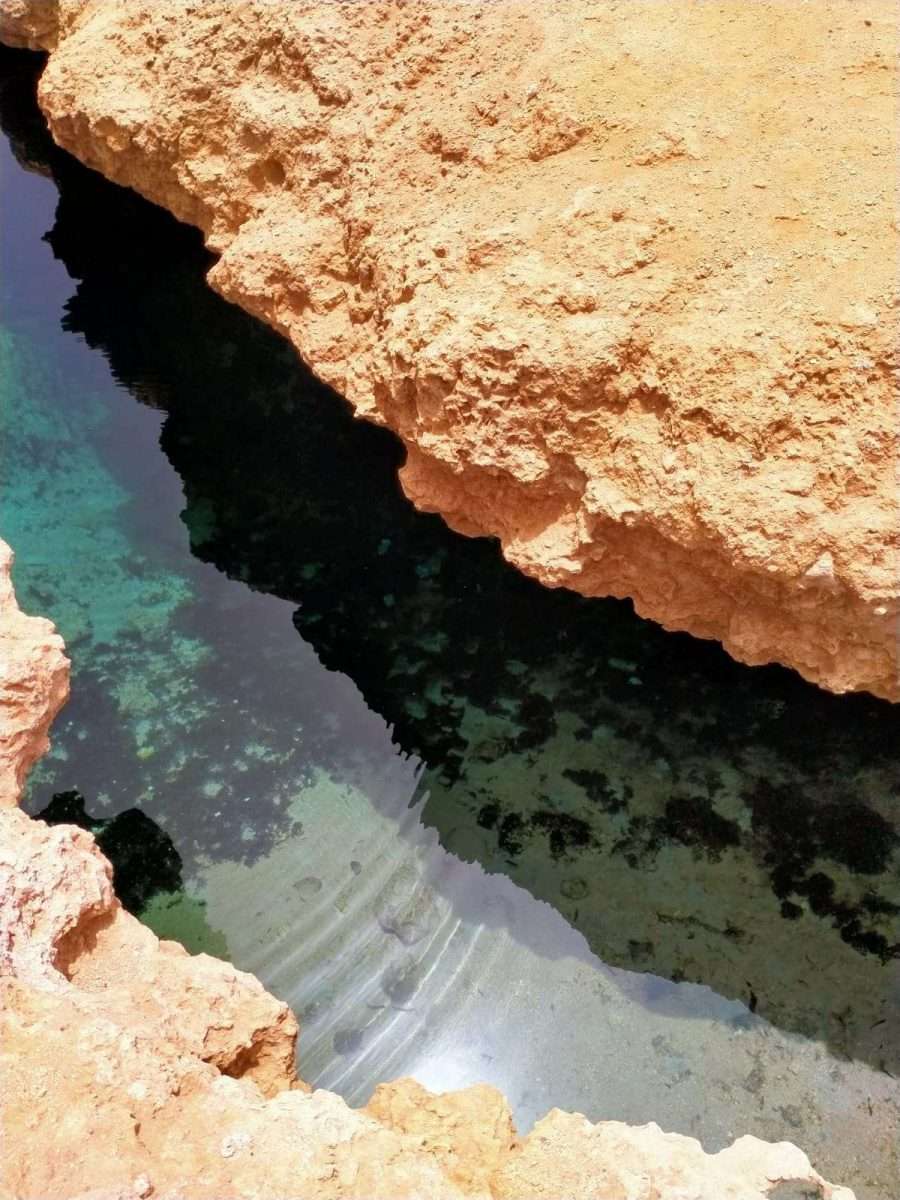 PHOTO-2022-06-07-00-02-15 4