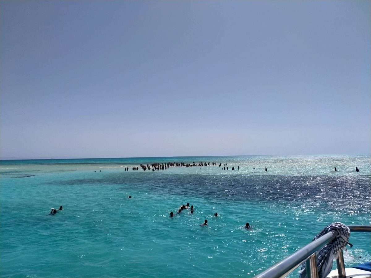 PHOTO-2022-06-07-00-02-16 5