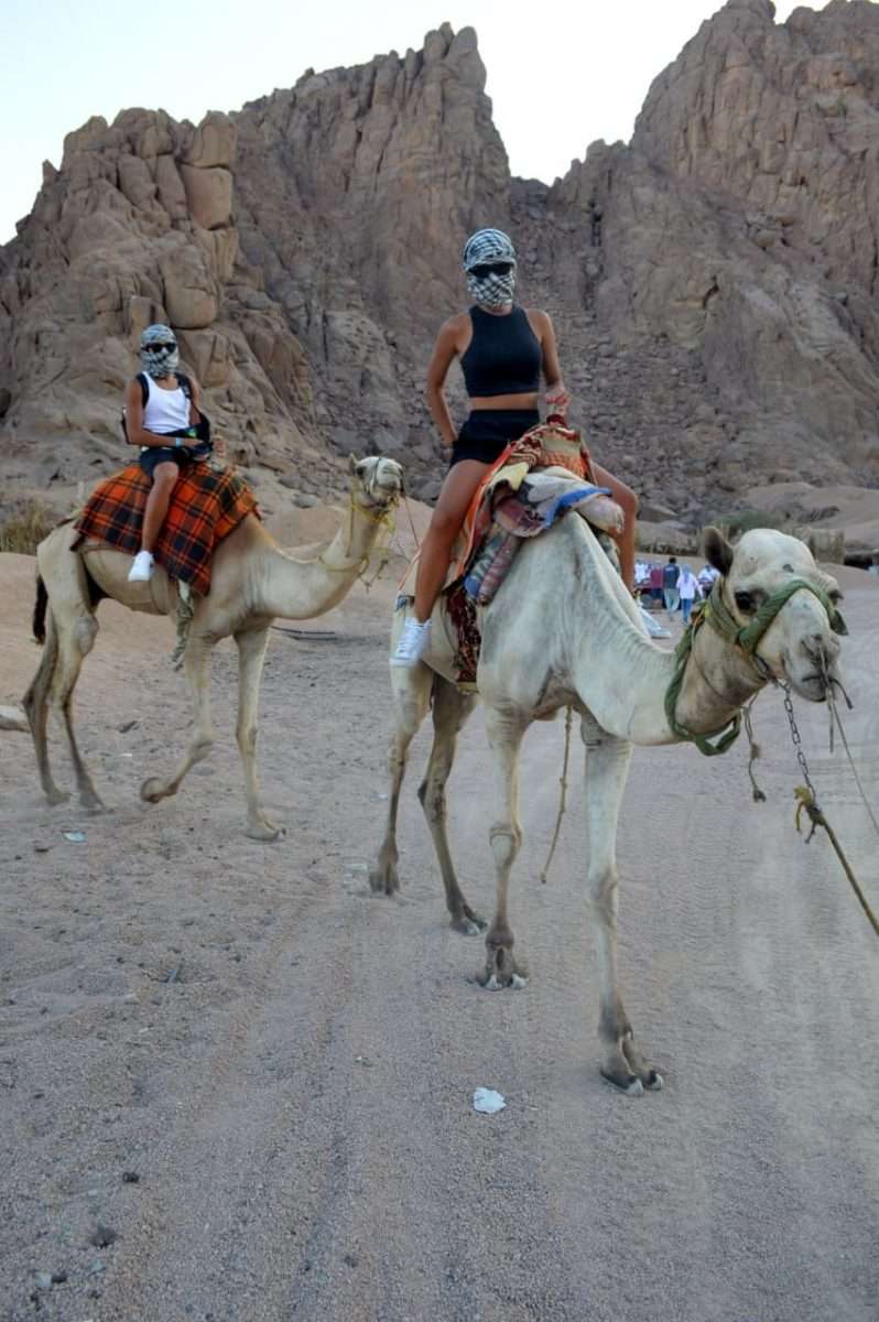 WhatsApp Image 2022-12-05 at 17.52.30 (1)