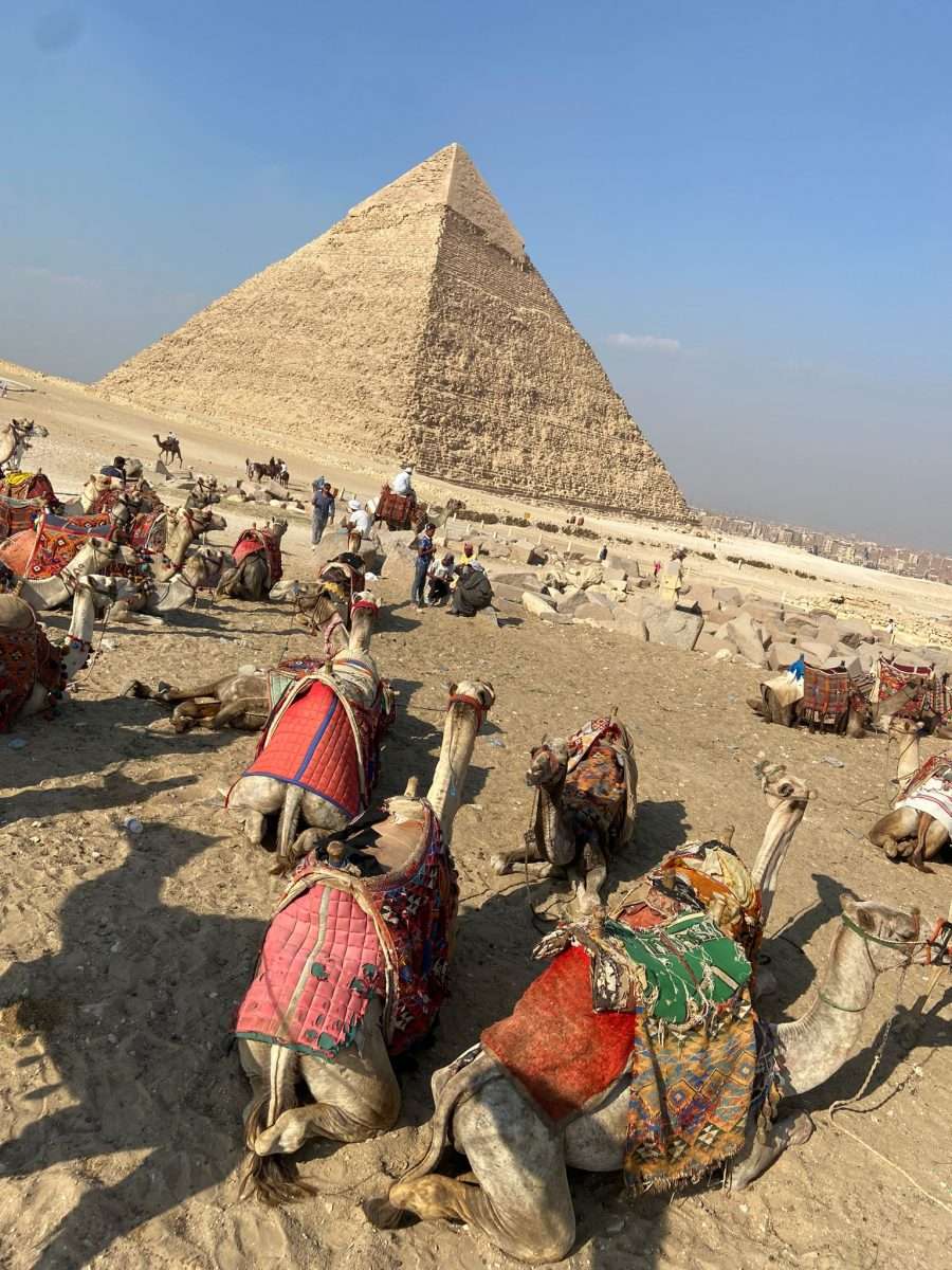 WhatsApp Image 2022-12-05 at 17.55.18 (3)