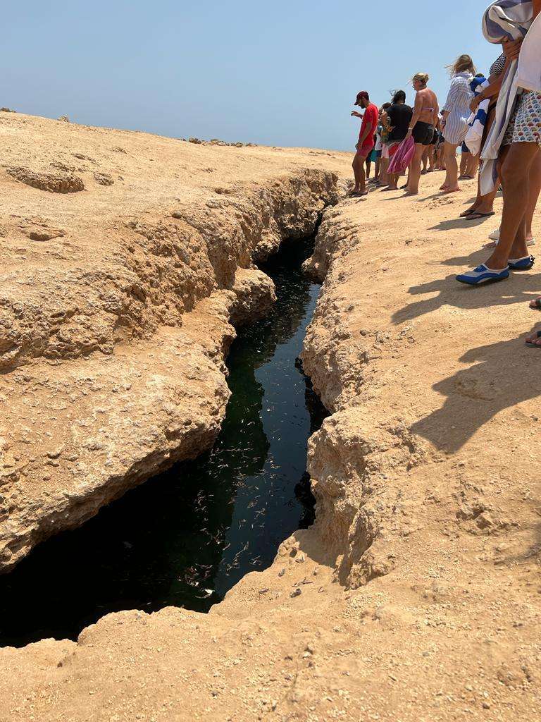 WhatsApp Image 2022-12-05 at 17.55.19 (2)