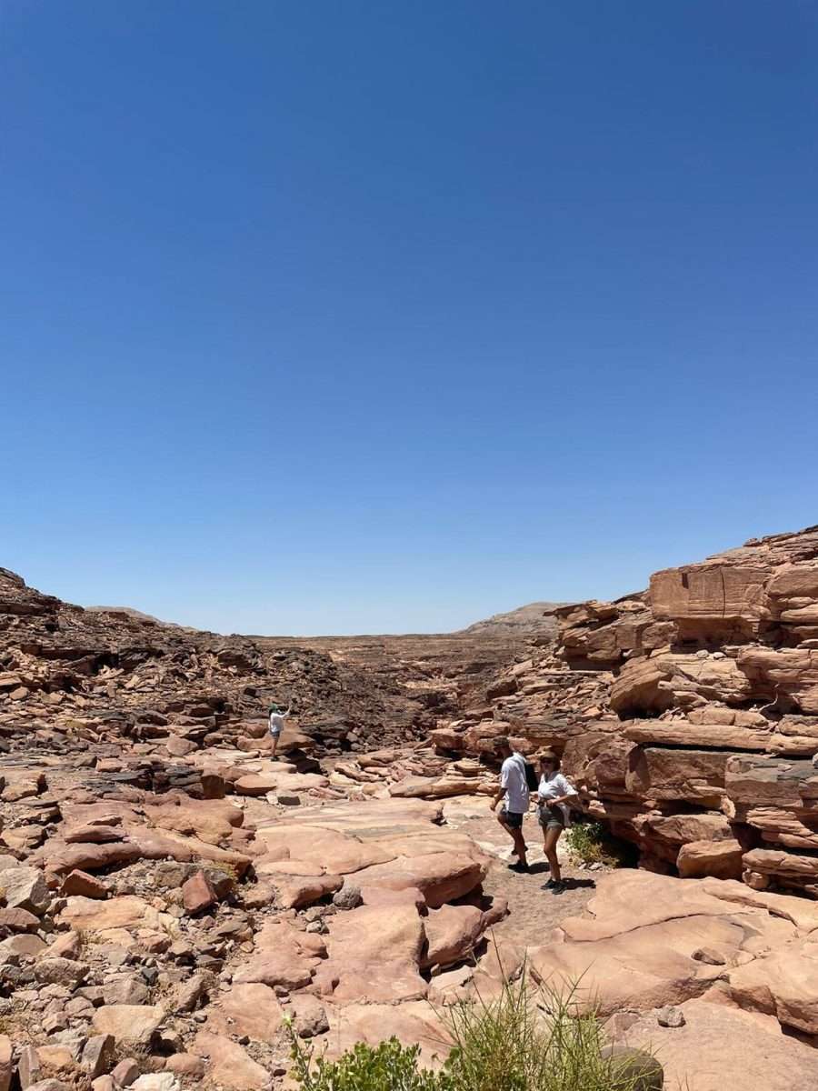 WhatsApp Image 2022-12-05 at 17.55.20