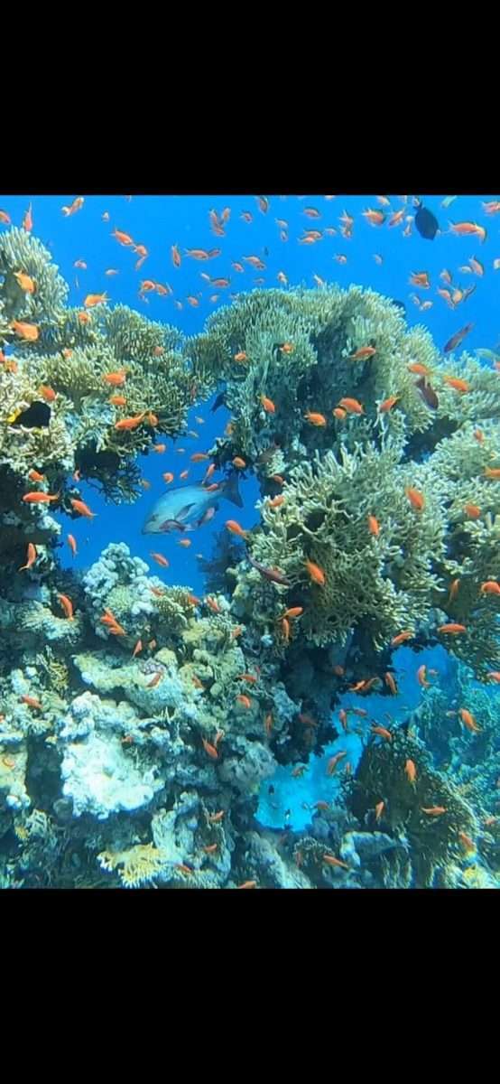 WhatsApp Image 2022-12-07 at 16.16.54 (1)