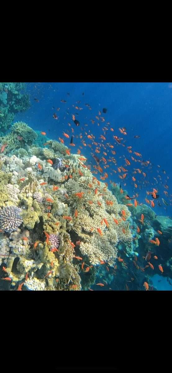 WhatsApp Image 2022-12-07 at 16.16.54 (2)