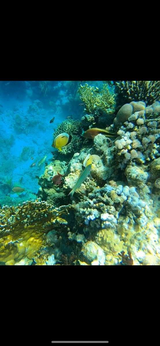 WhatsApp Image 2022-12-07 at 16.16.54